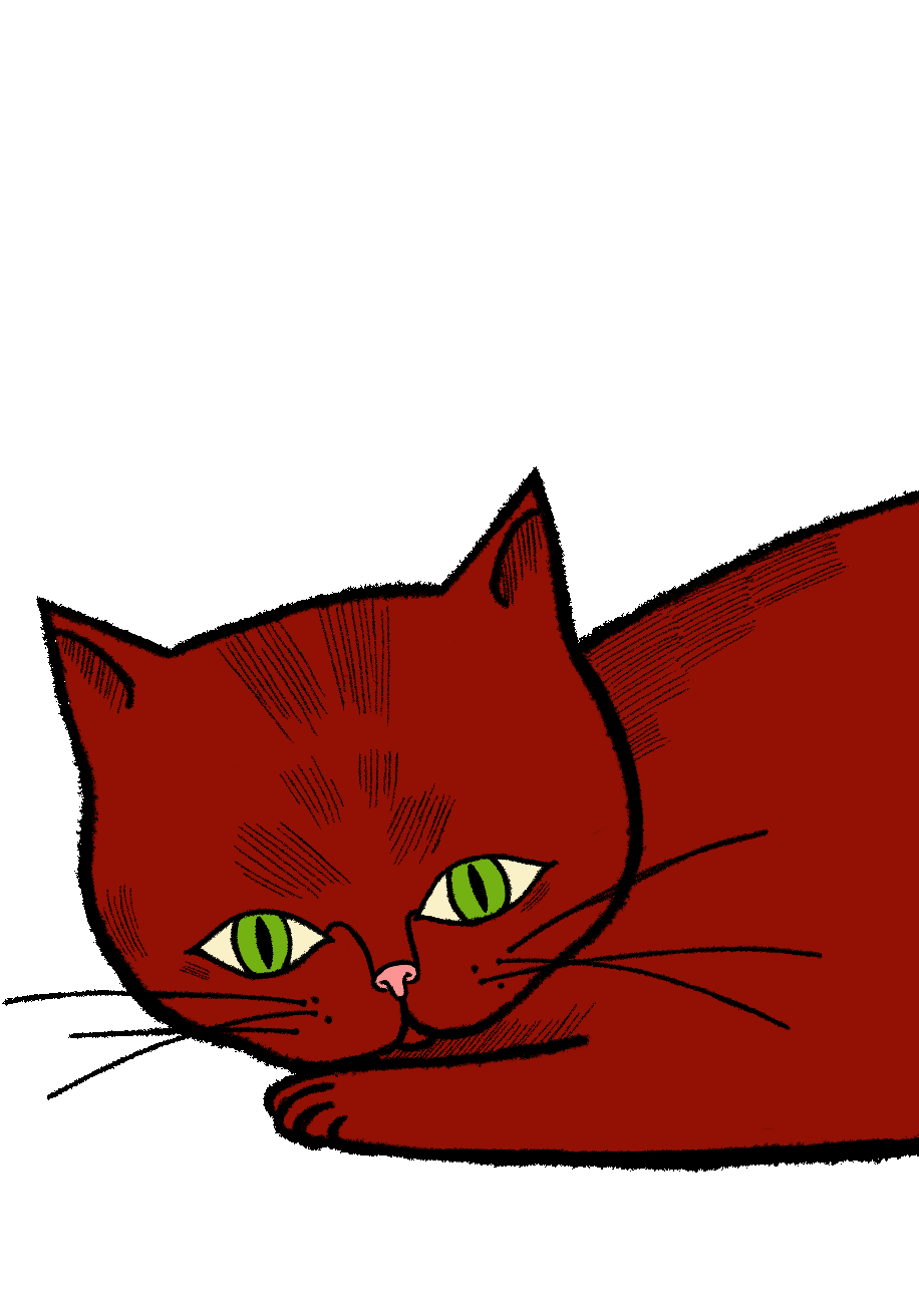 Cat Animation